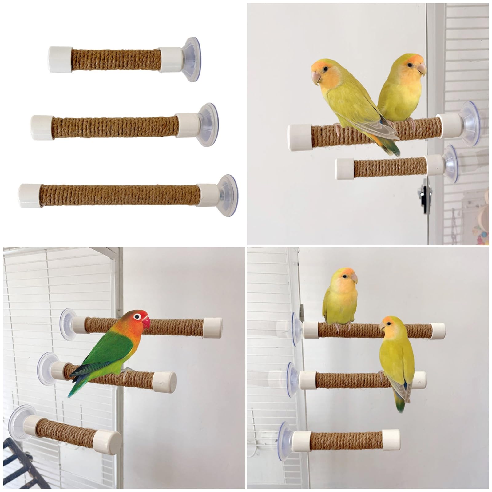 Amazon.co.jp: 鳥止まり木スイング臼歯スタンドオウムコニュア用品